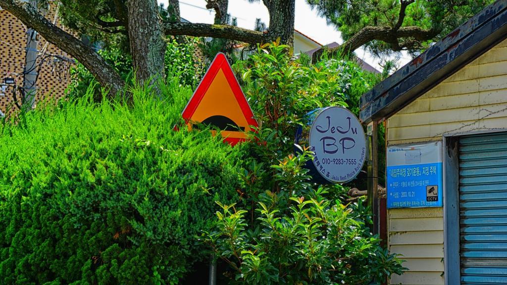 Jeju B.P. Guesthouse Esterno foto